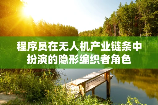 程序员在无人机产业链条中扮演的隐形编织者角色