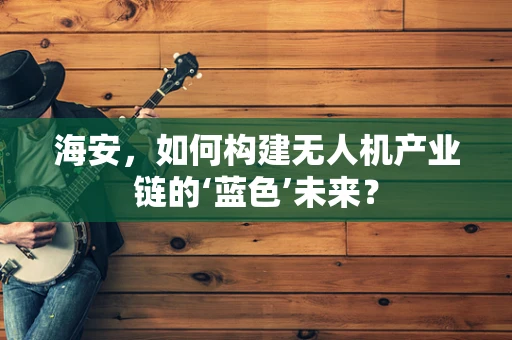 海安，如何构建无人机产业链的‘蓝色’未来？