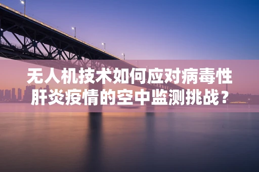 无人机技术如何应对病毒性肝炎疫情的空中监测挑战？