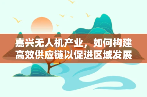 嘉兴无人机产业，如何构建高效供应链以促进区域发展？
