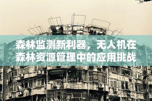 森林监测新利器，无人机在森林资源管理中的应用挑战是什么？