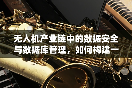 无人机产业链中的数据安全与数据库管理，如何构建一个安全的飞行数据存储系统？
