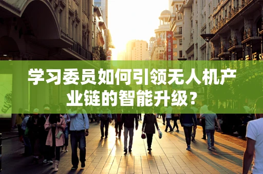 学习委员如何引领无人机产业链的智能升级？
