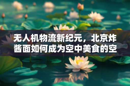 无人机物流新纪元，北京炸酱面如何成为空中美食的空中使者？