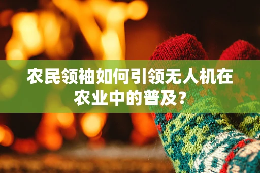 农民领袖如何引领无人机在农业中的普及？