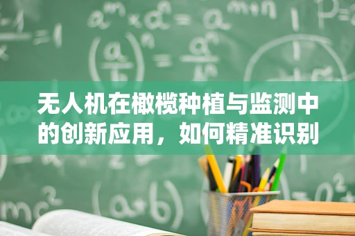 无人机在橄榄种植与监测中的创新应用，如何精准识别病虫害？