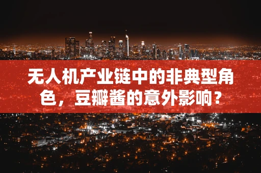 无人机产业链中的非典型角色，豆瓣酱的意外影响？