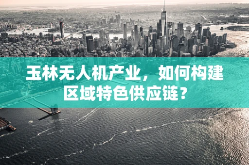 玉林无人机产业，如何构建区域特色供应链？