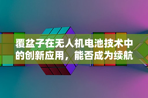 覆盆子在无人机电池技术中的创新应用，能否成为续航新宠？
