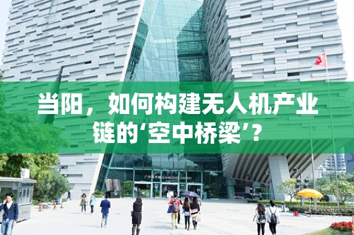 当阳，如何构建无人机产业链的‘空中桥梁’？