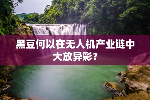 黑豆何以在无人机产业链中大放异彩？