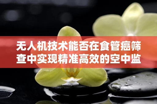 无人机技术能否在食管癌筛查中实现精准高效的空中监测？