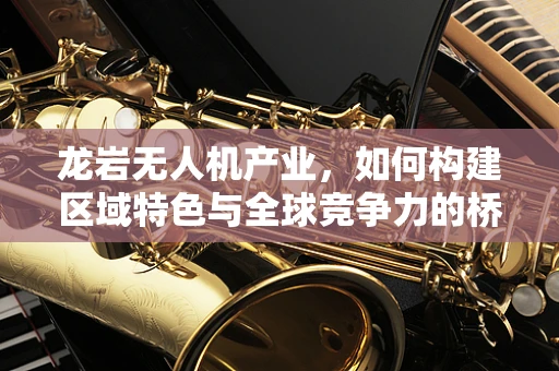 龙岩无人机产业，如何构建区域特色与全球竞争力的桥梁？