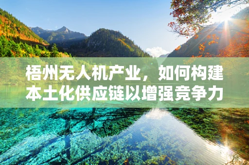 梧州无人机产业，如何构建本土化供应链以增强竞争力？