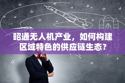 昭通无人机产业，如何构建区域特色的供应链生态？