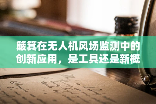 簸箕在无人机风场监测中的创新应用，是工具还是新概念？