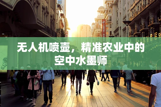 无人机喷壶，精准农业中的空中水墨师