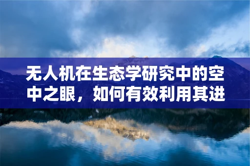 无人机在生态学研究中的空中之眼，如何有效利用其进行生物多样性监测？