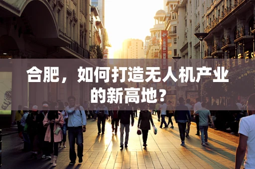 合肥，如何打造无人机产业的新高地？