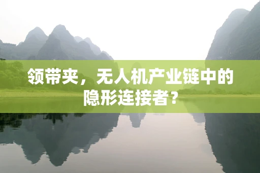 领带夹，无人机产业链中的隐形连接者？