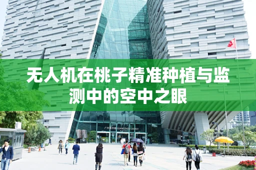 无人机在桃子精准种植与监测中的空中之眼
