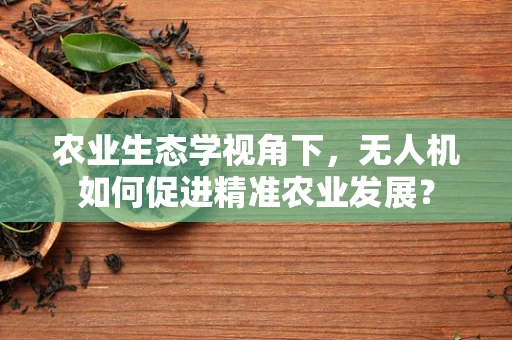 农业生态学视角下，无人机如何促进精准农业发展？