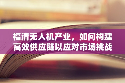 福清无人机产业，如何构建高效供应链以应对市场挑战？