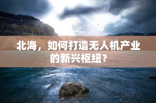 北海，如何打造无人机产业的新兴枢纽？