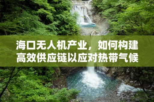 海口无人机产业，如何构建高效供应链以应对热带气候挑战？