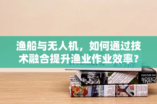 渔船与无人机，如何通过技术融合提升渔业作业效率？