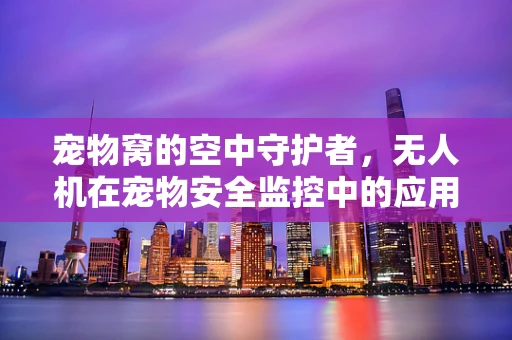 宠物窝的空中守护者，无人机在宠物安全监控中的应用？