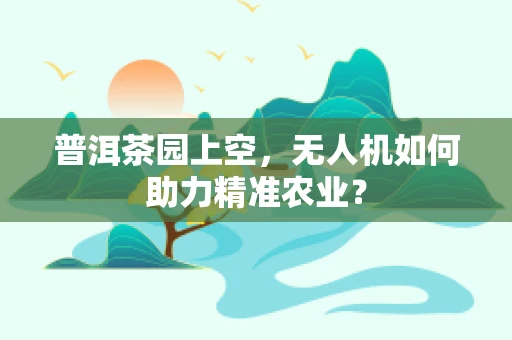 普洱茶园上空，无人机如何助力精准农业？