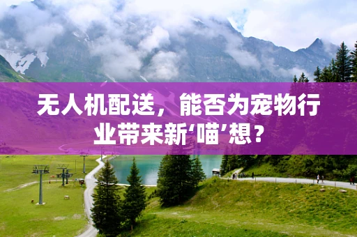 无人机配送，能否为宠物行业带来新‘喵’想？