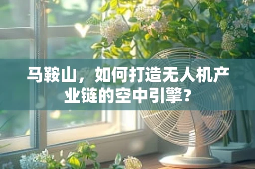 马鞍山，如何打造无人机产业链的空中引擎？