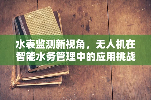 水表监测新视角，无人机在智能水务管理中的应用挑战