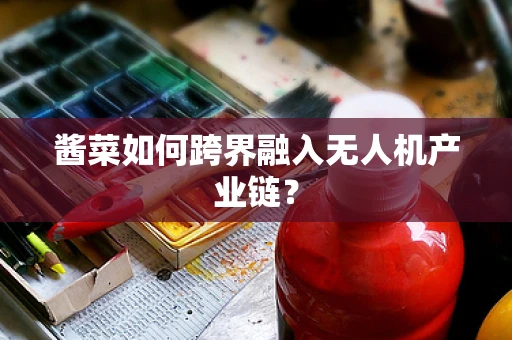 酱菜如何跨界融入无人机产业链？