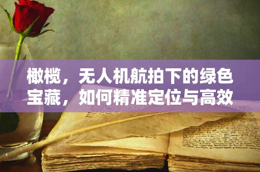 橄榄，无人机航拍下的绿色宝藏，如何精准定位与高效采集？