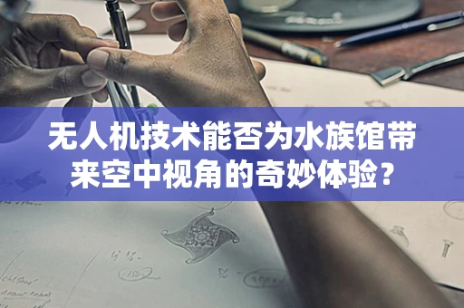 无人机技术能否为水族馆带来空中视角的奇妙体验？