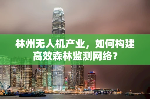 林州无人机产业，如何构建高效森林监测网络？
