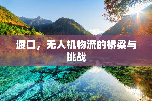 渡口，无人机物流的桥梁与挑战