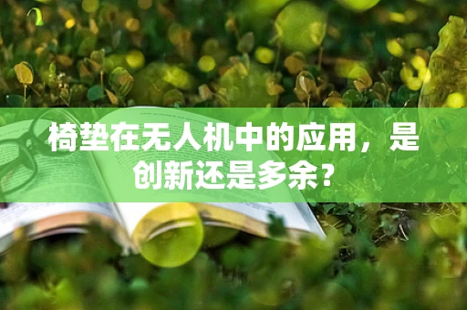 椅垫在无人机中的应用，是创新还是多余？