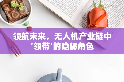 领航未来，无人机产业链中‘领带’的隐秘角色