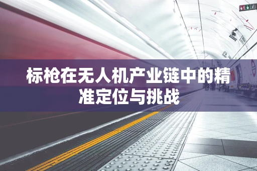 标枪在无人机产业链中的精准定位与挑战
