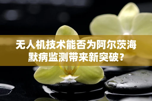 无人机技术能否为阿尔茨海默病监测带来新突破？