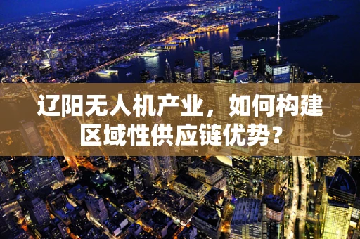 辽阳无人机产业，如何构建区域性供应链优势？