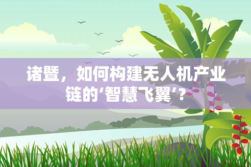 诸暨，如何构建无人机产业链的‘智慧飞翼’？