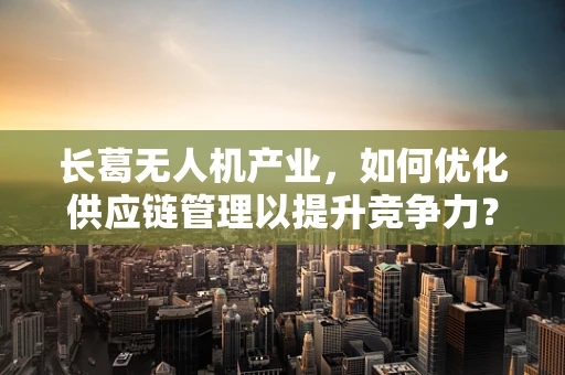 长葛无人机产业，如何优化供应链管理以提升竞争力？