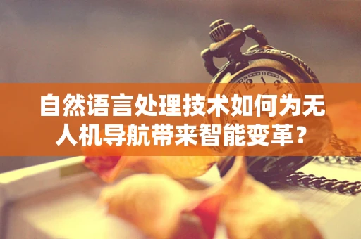 自然语言处理技术如何为无人机导航带来智能变革？