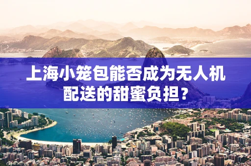 上海小笼包能否成为无人机配送的甜蜜负担？