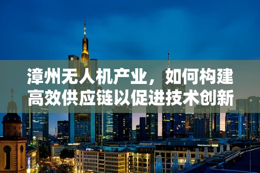 漳州无人机产业，如何构建高效供应链以促进技术创新？